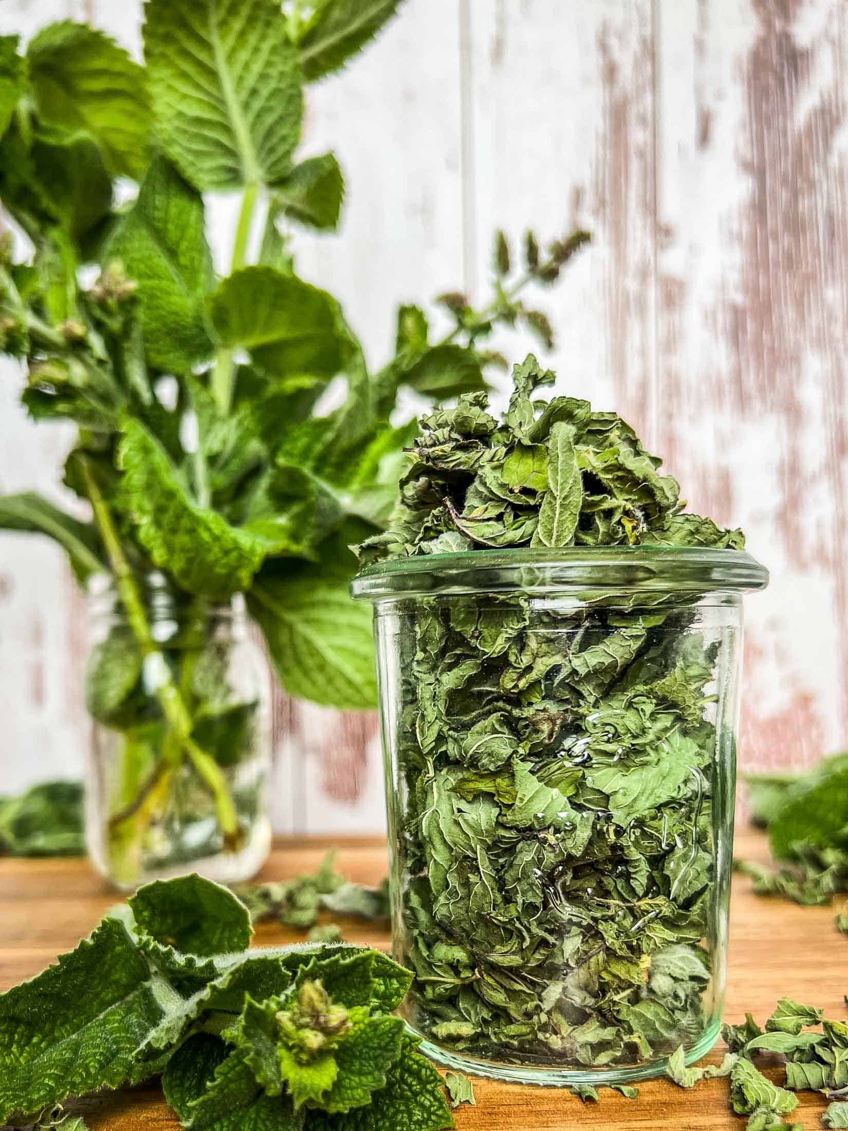 Dried mint leaves in a small glass jar with fresh leaves in a jar of water in the background.