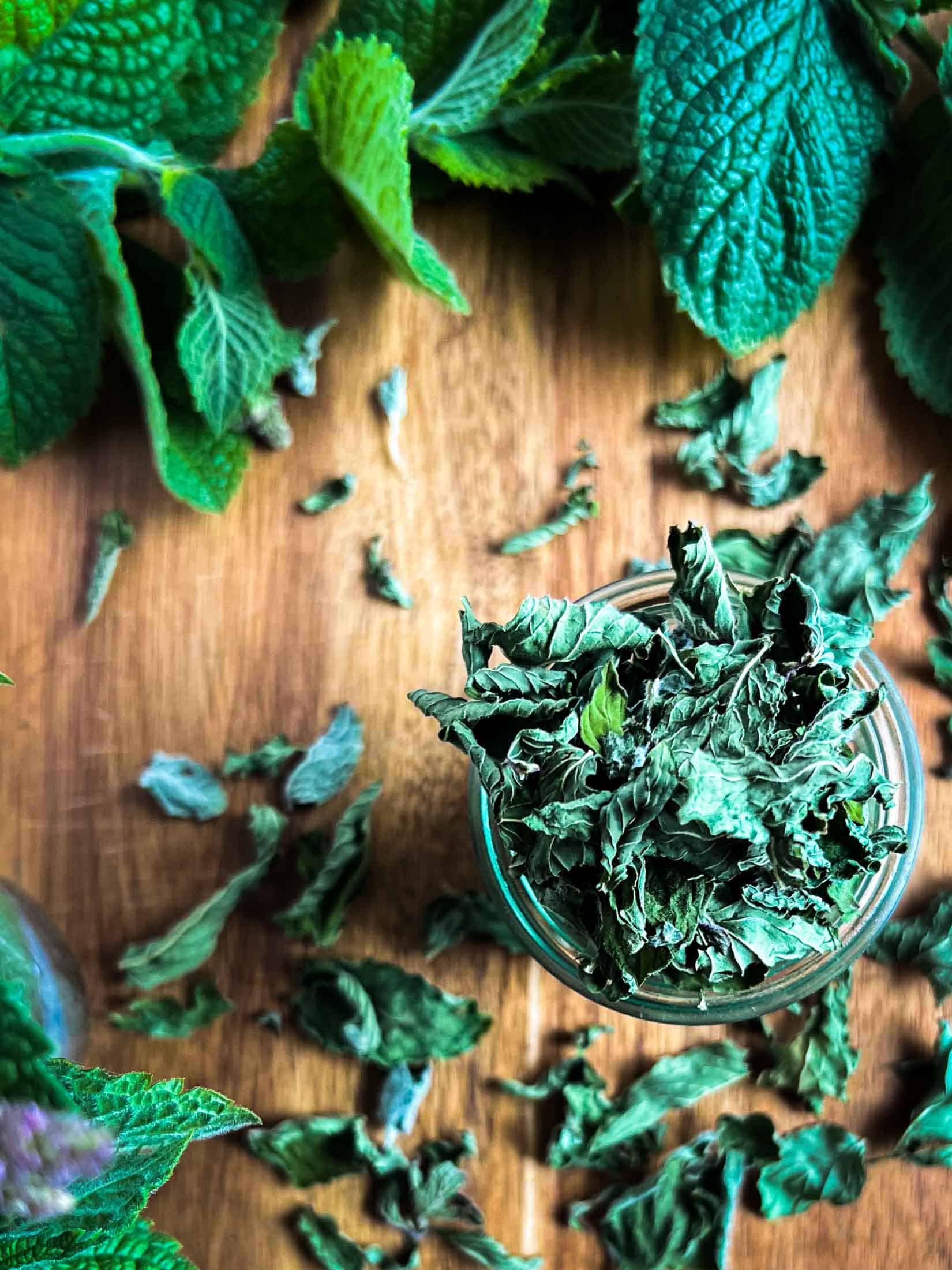 How To Dry Mint 3 Ways Dehydrator Oven Air Dry