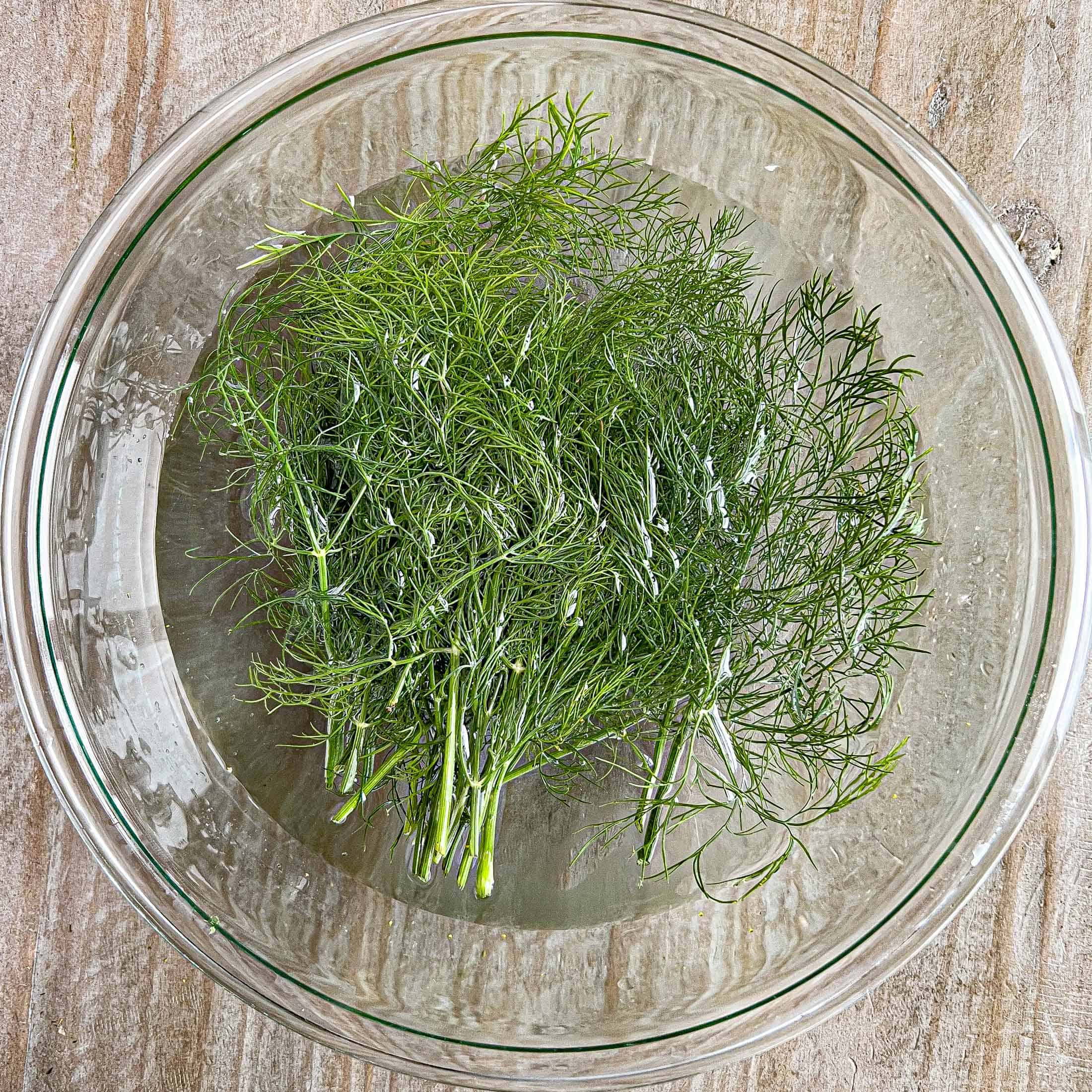 Dill being washed in cold water in a glass bowl.