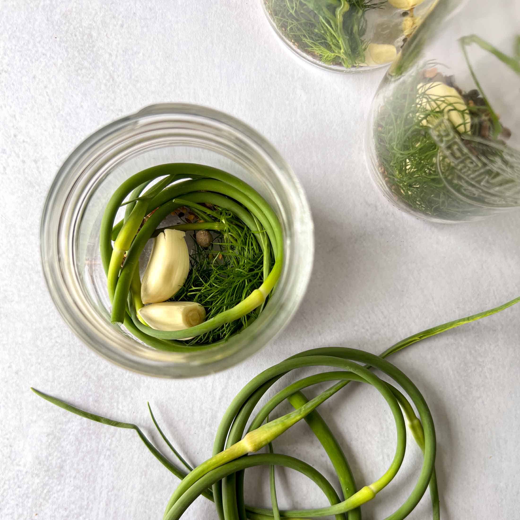 A jar half filled with dill, garlic, and garlic scapes.