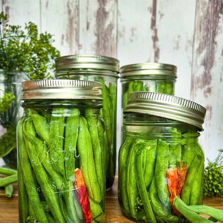 Fermented green beans in glass mason jars with a red pepper showing.