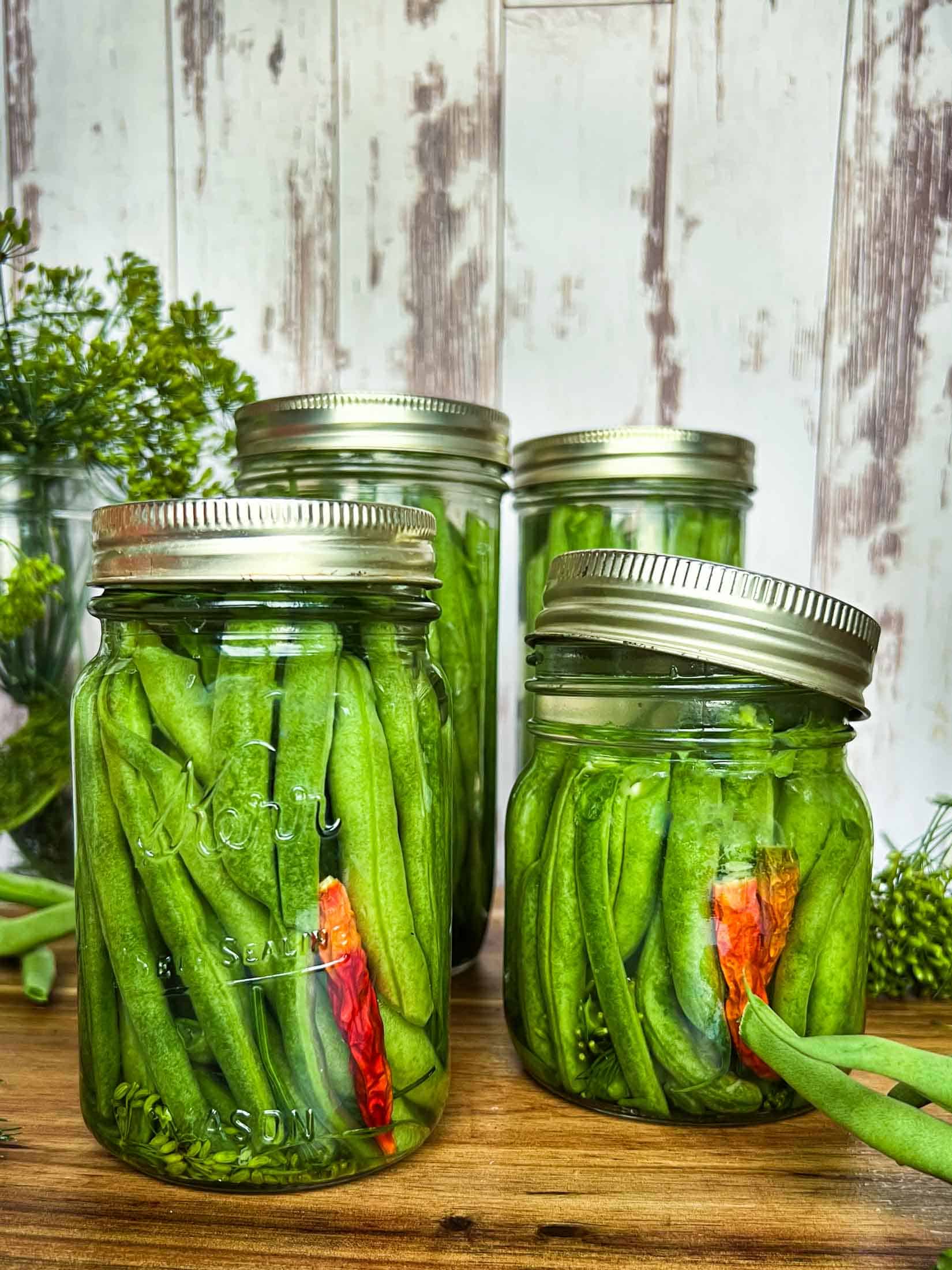 Fermented green beans in glass jars showing spicy chili peppers and dill in the foreground.