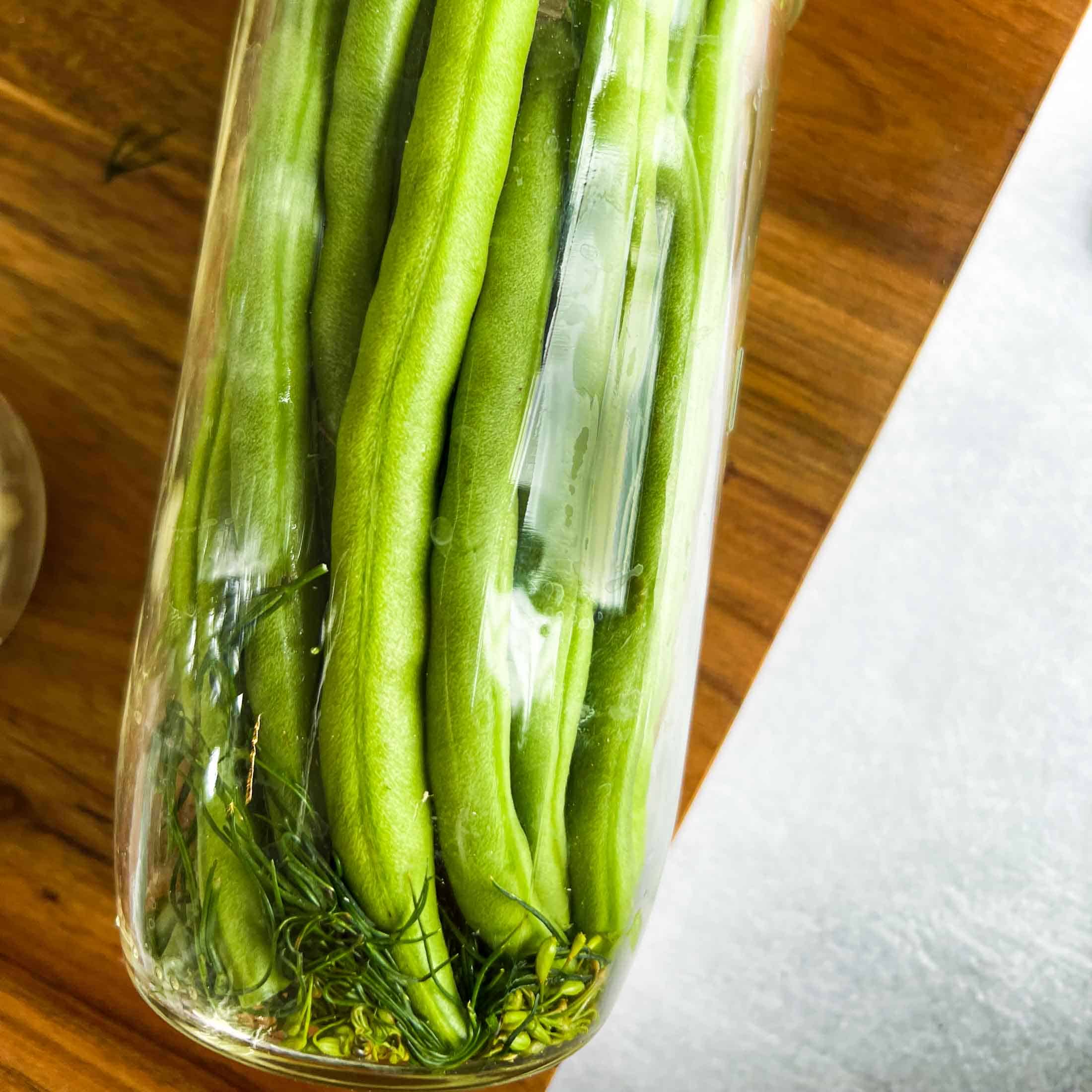 A side view of long green beans and dill in a glass jar.