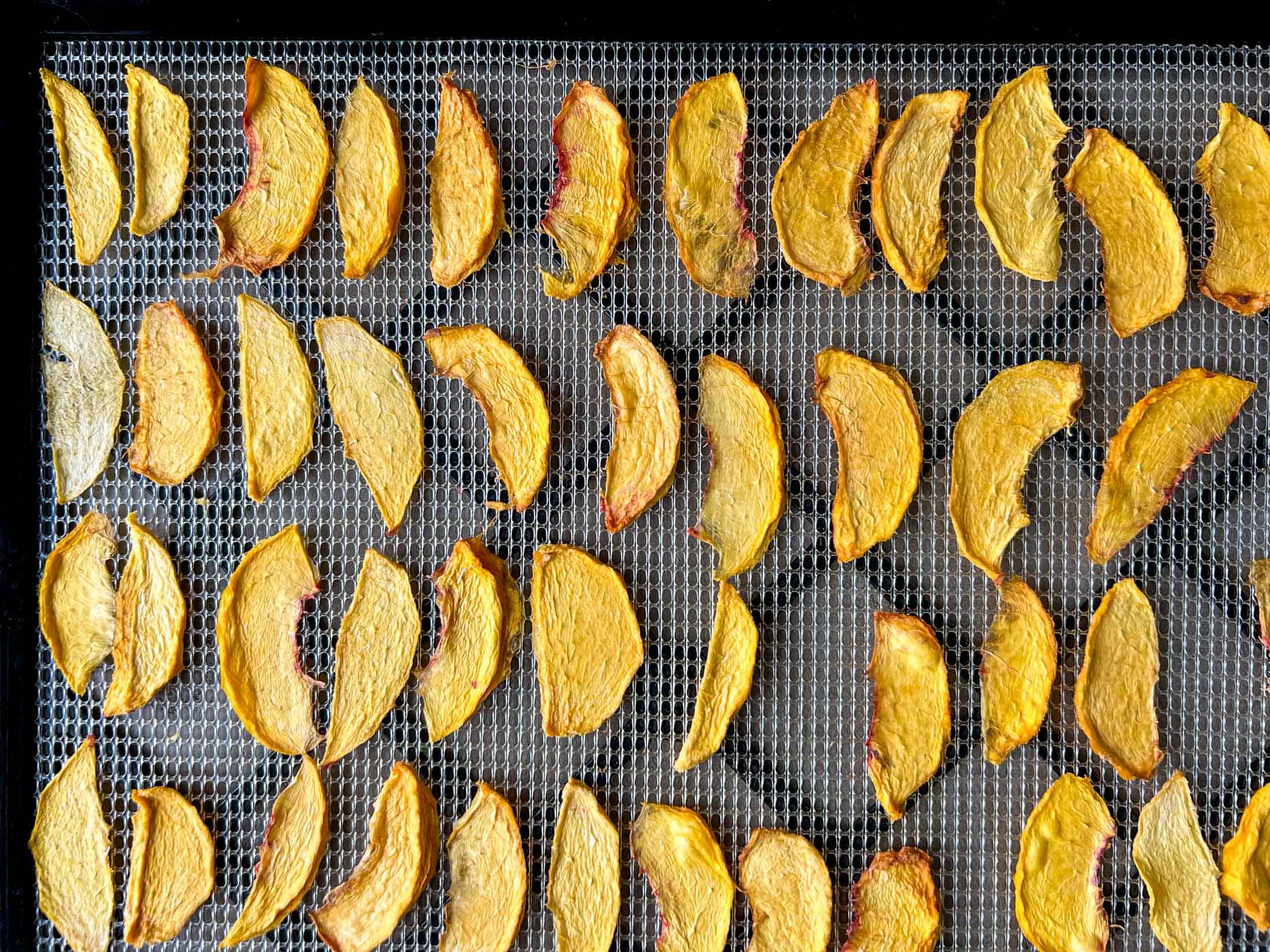 Dehydrated peaches on a dehydrator tray.