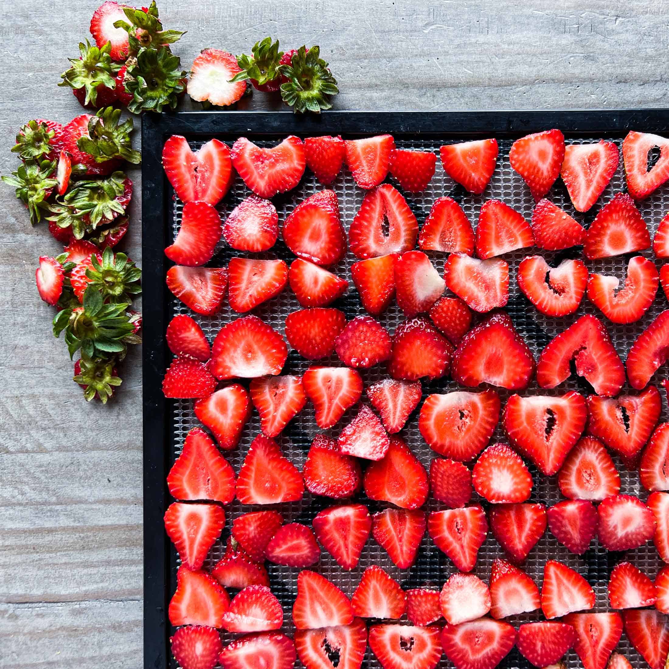 Fresh strawberries sliced on a dehydrator tray in a single layer.