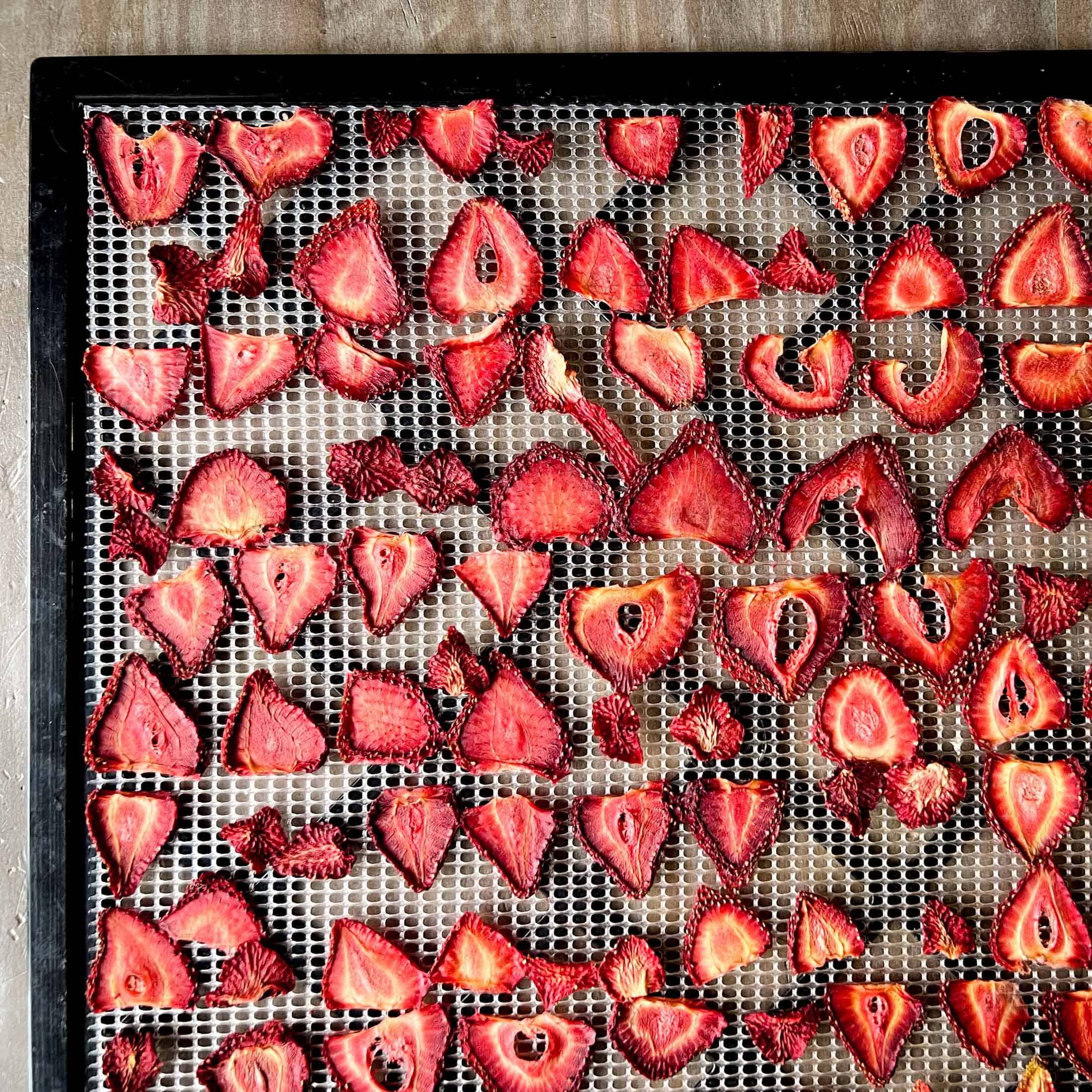 Fully dehydrated strawberries on a dehydrator tray.