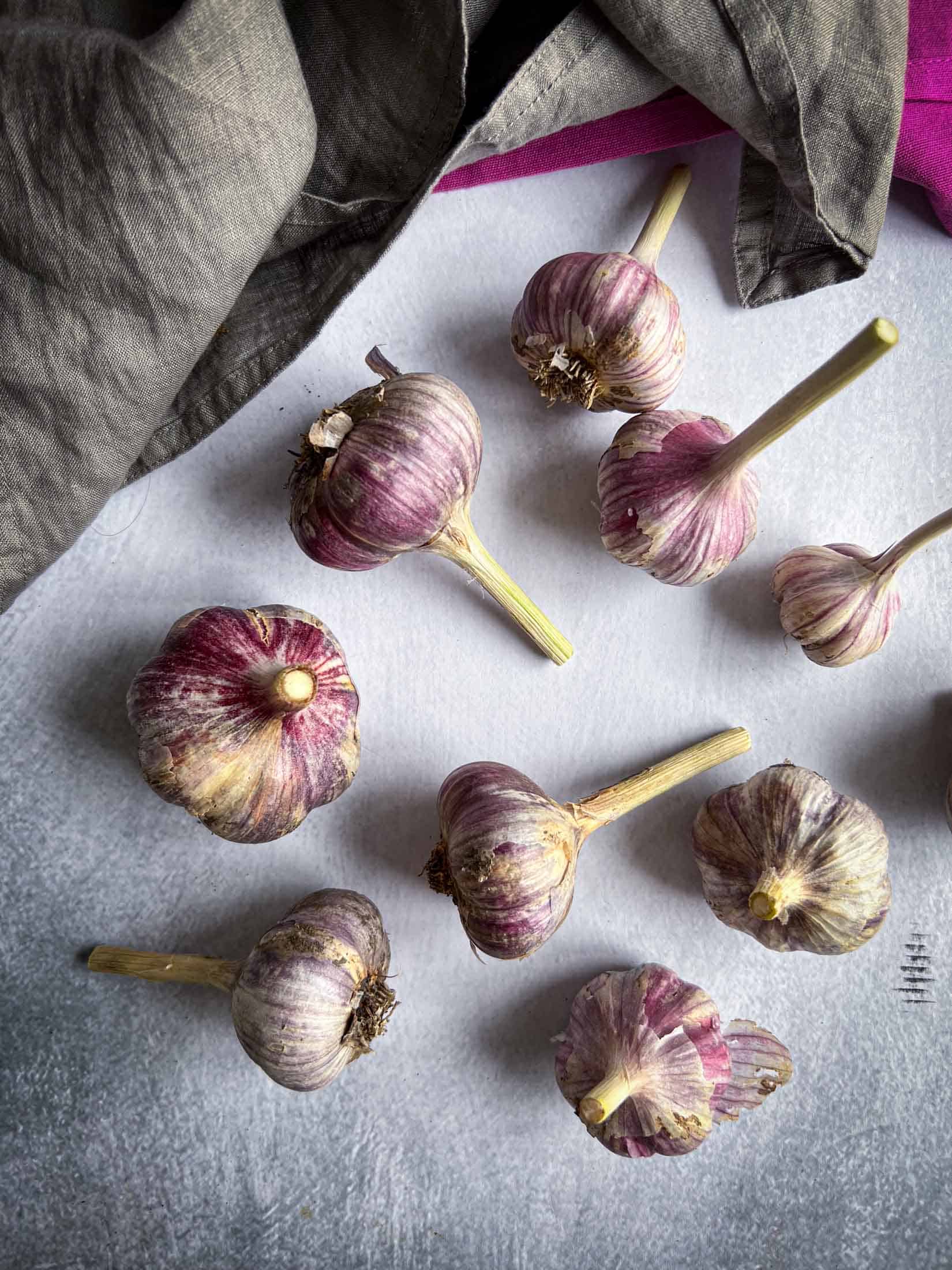 9 Purple Russian garlic cloves on a light backdrop with medium length stems.