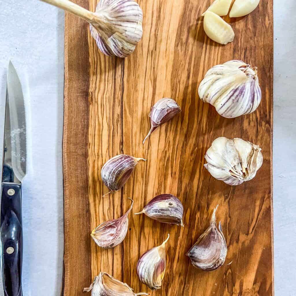 Purple Russian garlic cloves and heads raw on a wooden board.
