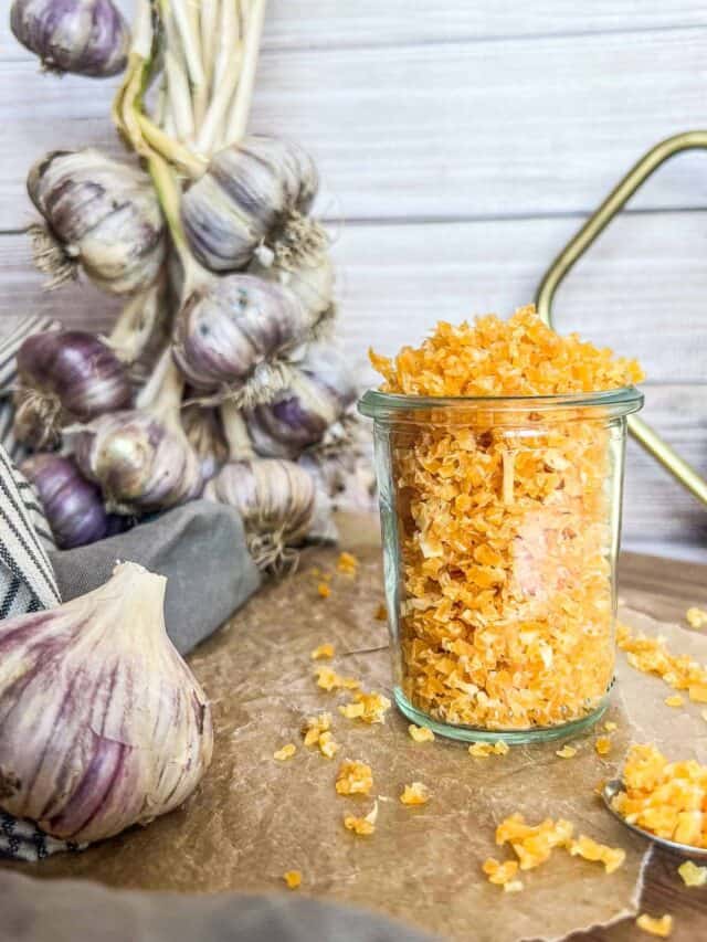 Ultimate Guide to Dehydrated Garlic | Dehydrator, Oven, Air Fryer