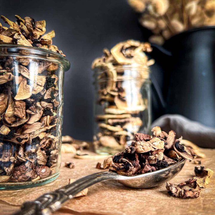 A closeup view of dehydrated mushroom pieces on a silver 1 tablespoon measuring spoon with jarred dried mushrooms in the foreground.