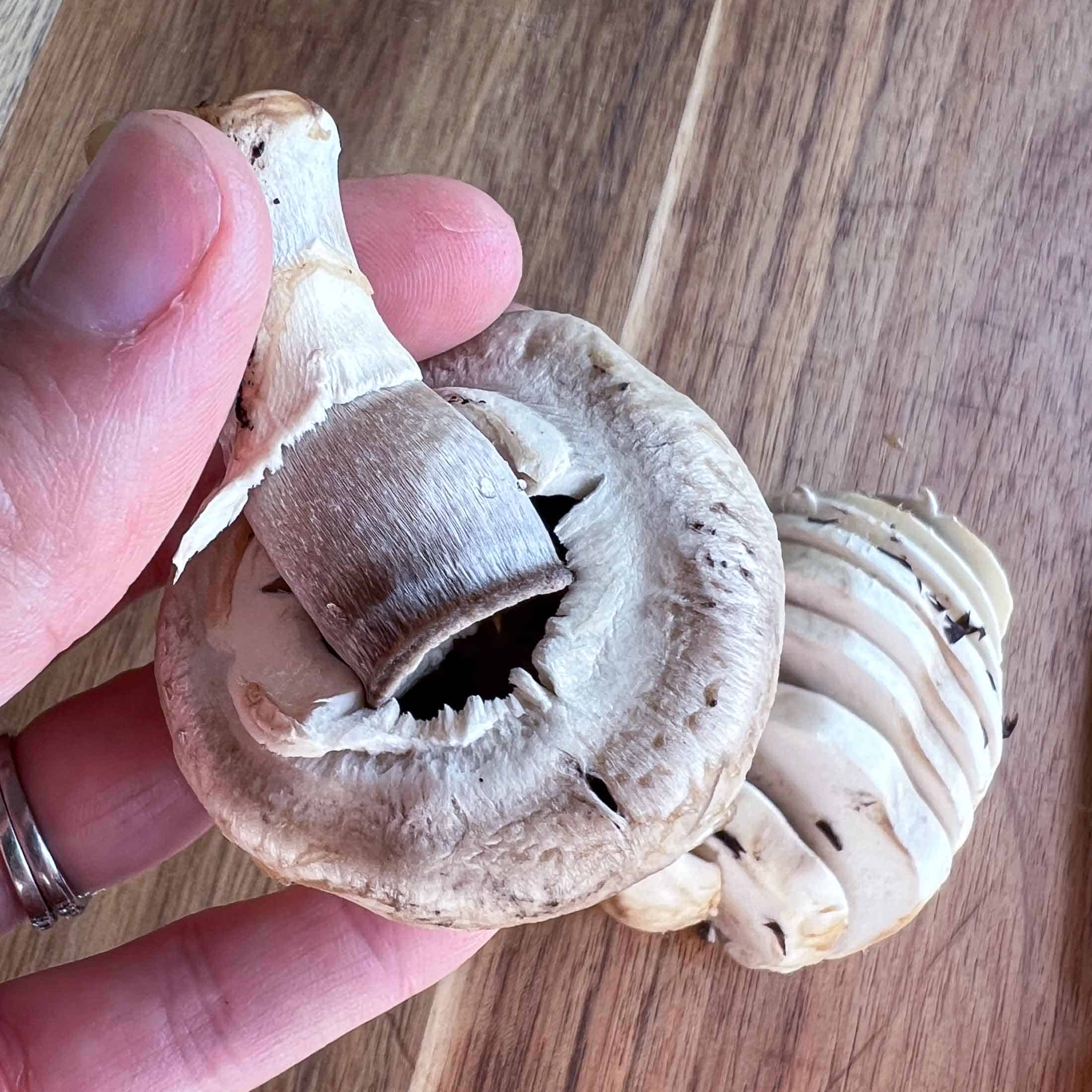 One hand snapping a stem off of a mushroom with a sliced mushroom underneath.