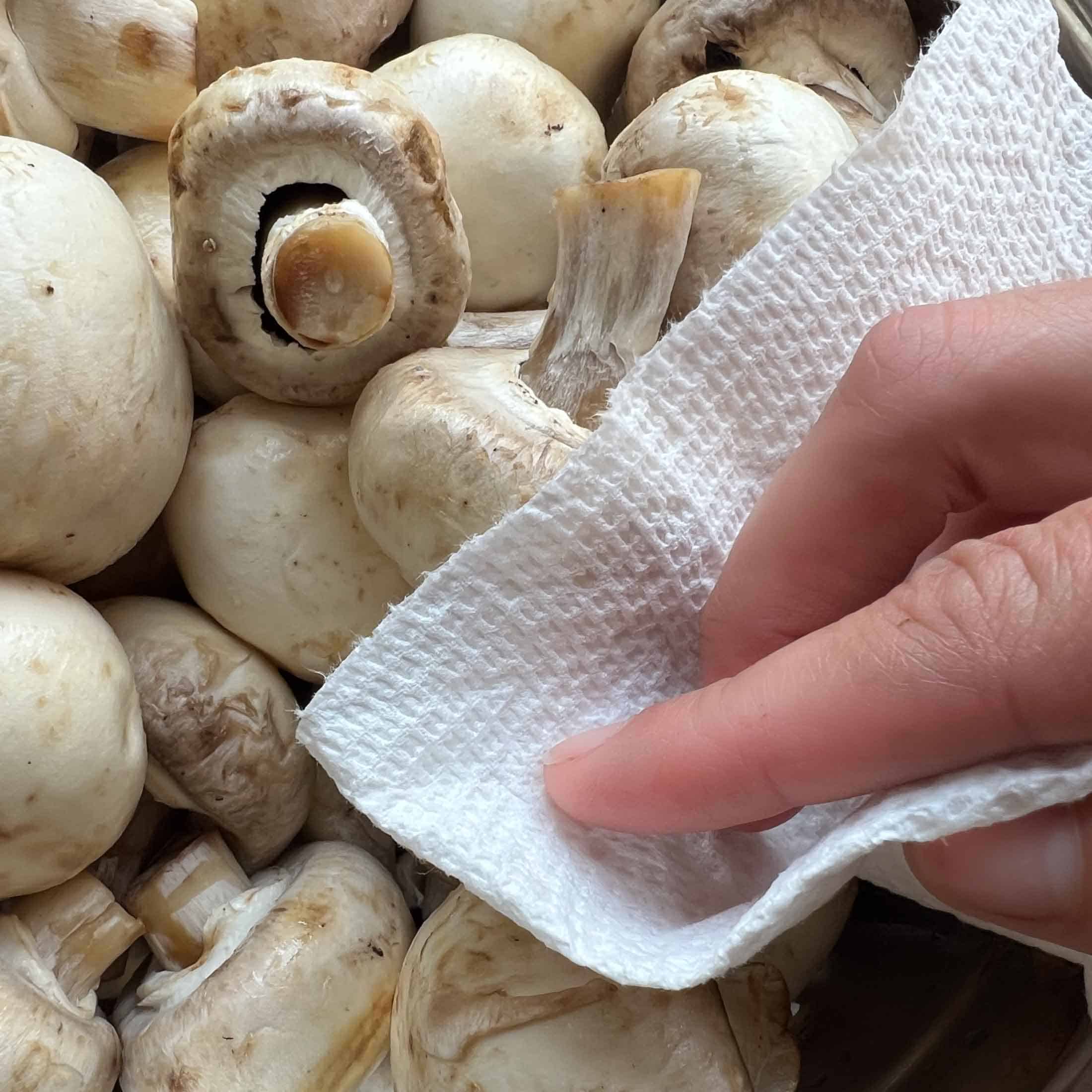 White mushrooms being patted dry with a paper towel.