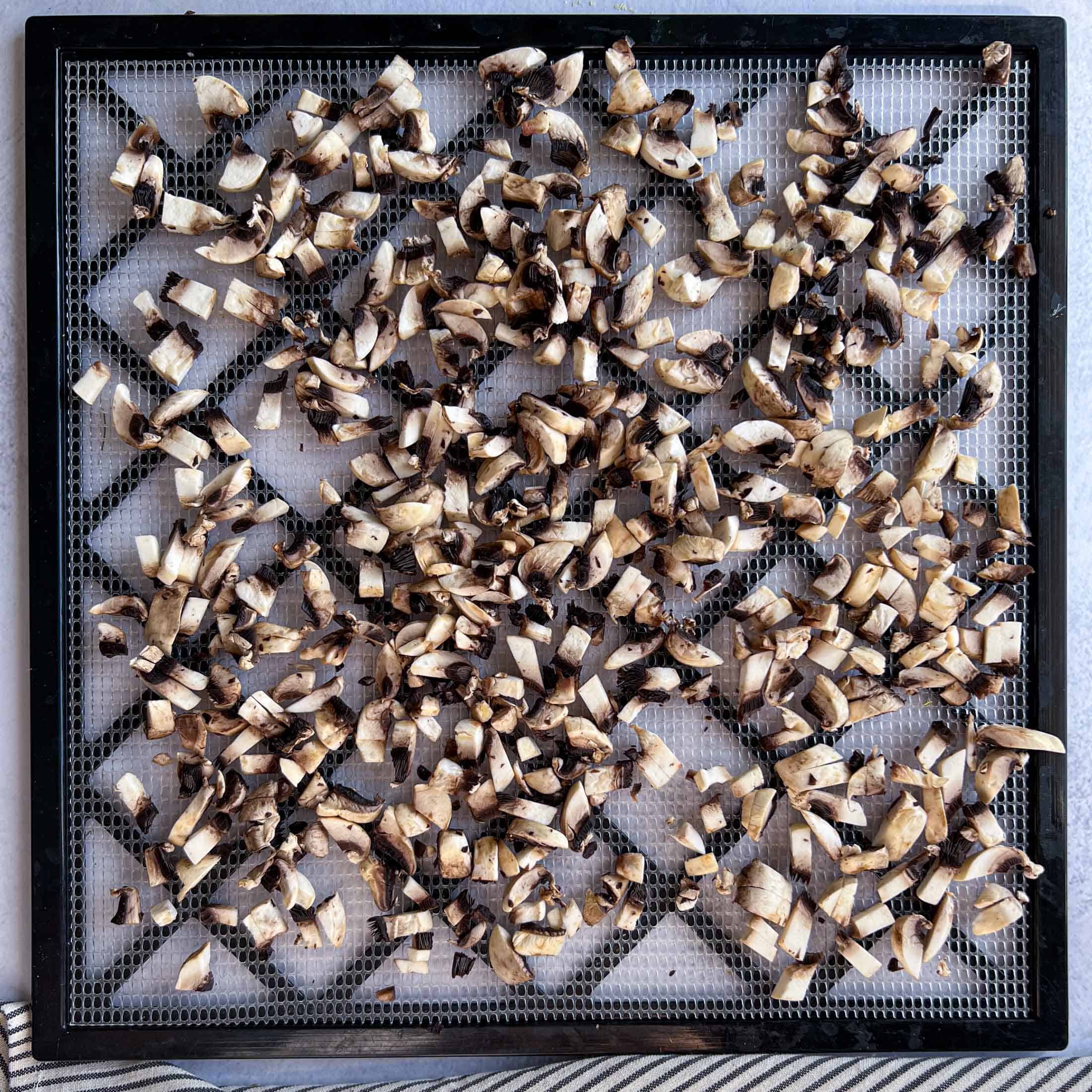 Fresh diced mushrooms on a dehydrator sheet.