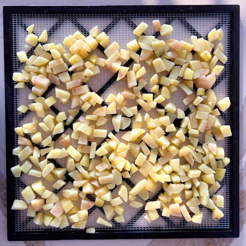 Raw cubed potatoes arranged in a single layer on a dehydrator tray.