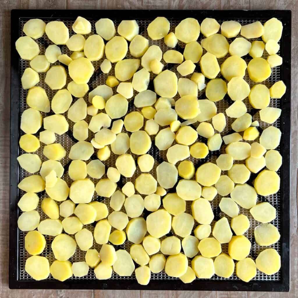 Sliced potatoes arranged in a single layer on a dehydrator tray.