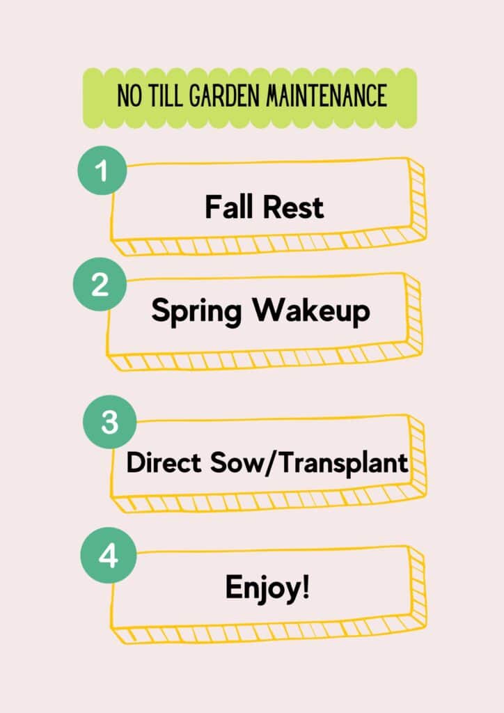 An infographic showing the five steps to no till gardening including fall rest, spring wakeup, direct sowing/transplanting, growing.