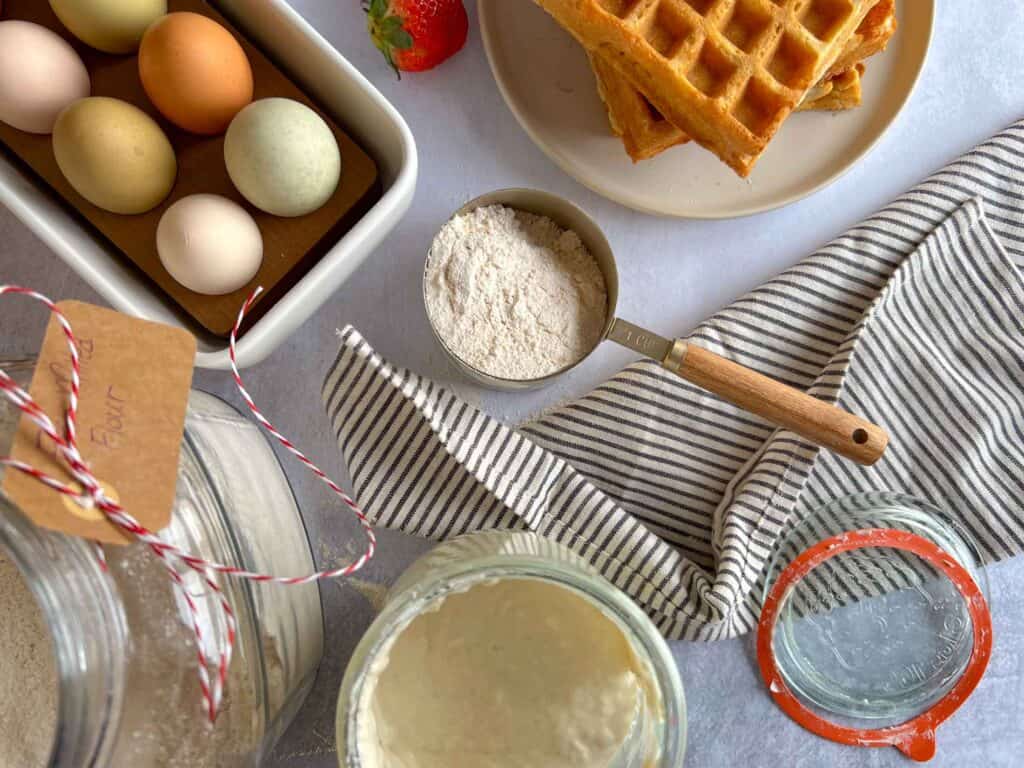Key ingredients for sourdough waffles including sourdough discard, eggs, whole wheat flour, and waffles.